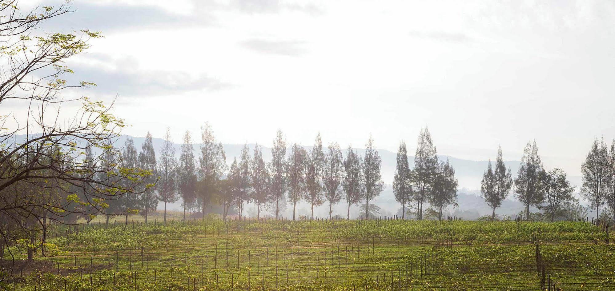 Village Farm And Winery Wang Nam Khiao Εξωτερικό φωτογραφία