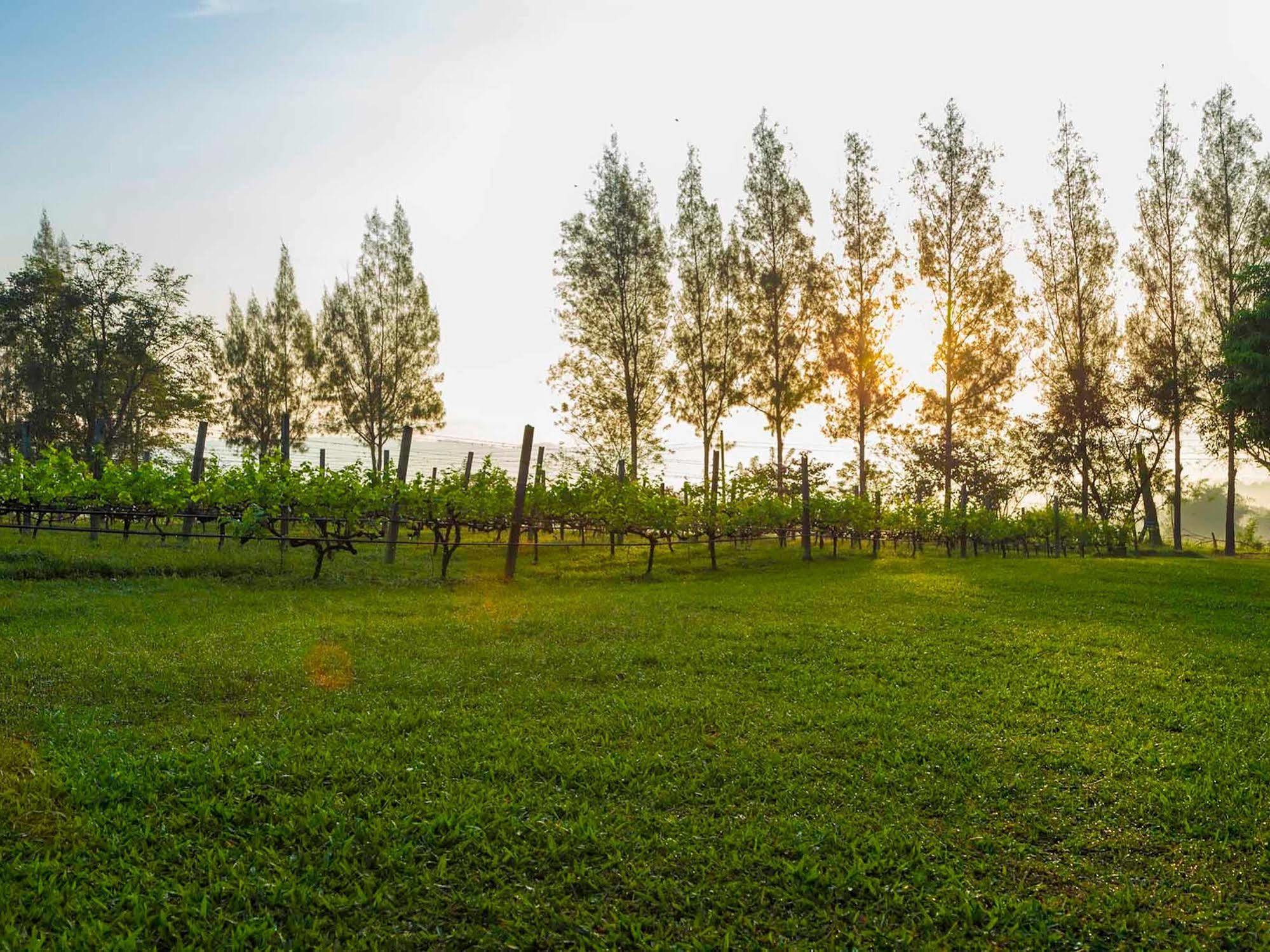 Village Farm And Winery Wang Nam Khiao Εξωτερικό φωτογραφία